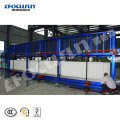 High Quality 30 ton Capacity Direct System Block Ice Plant